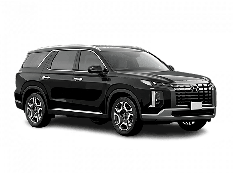 Hyundai Palisade New — Черный
