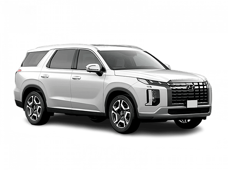 Hyundai Palisade New