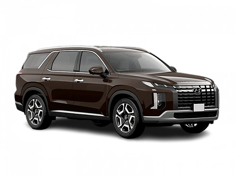 Hyundai Palisade New — Коричневый