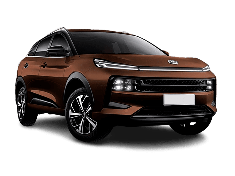 Jac JS6 — Коричневый каштан