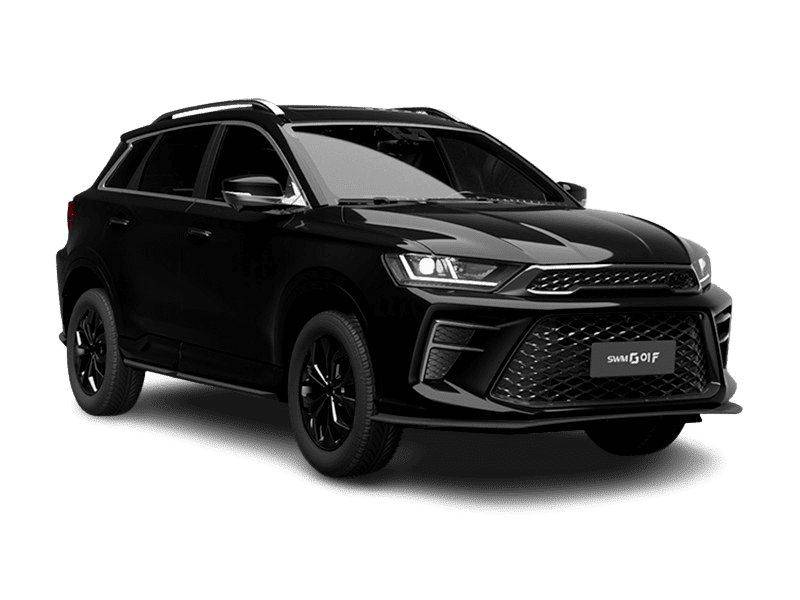 SWM G01F — Черный